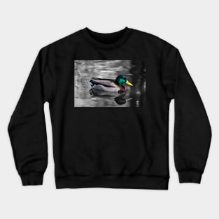 Mallard Duck Crewneck Sweatshirt